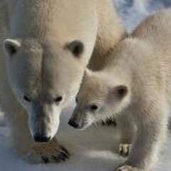 フォロワーを増やしたい方が集まるアカウントです