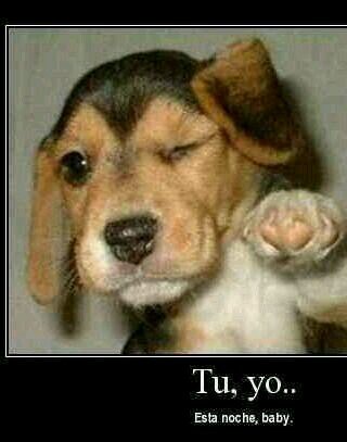 pensando como se suben videos de ordenadoa a youtube _:(