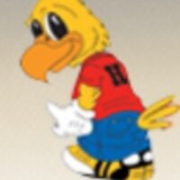 hughes_hawks (@hughes_hawks) 's Twitter Profile