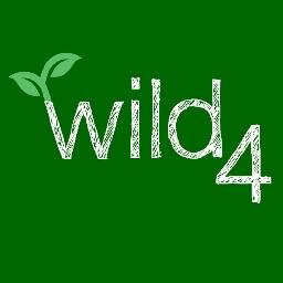 Inspire Develop Experience Adventure. Forest School, family nature exploration, outreach learning, adventurous play, outdoor education and woodland parties