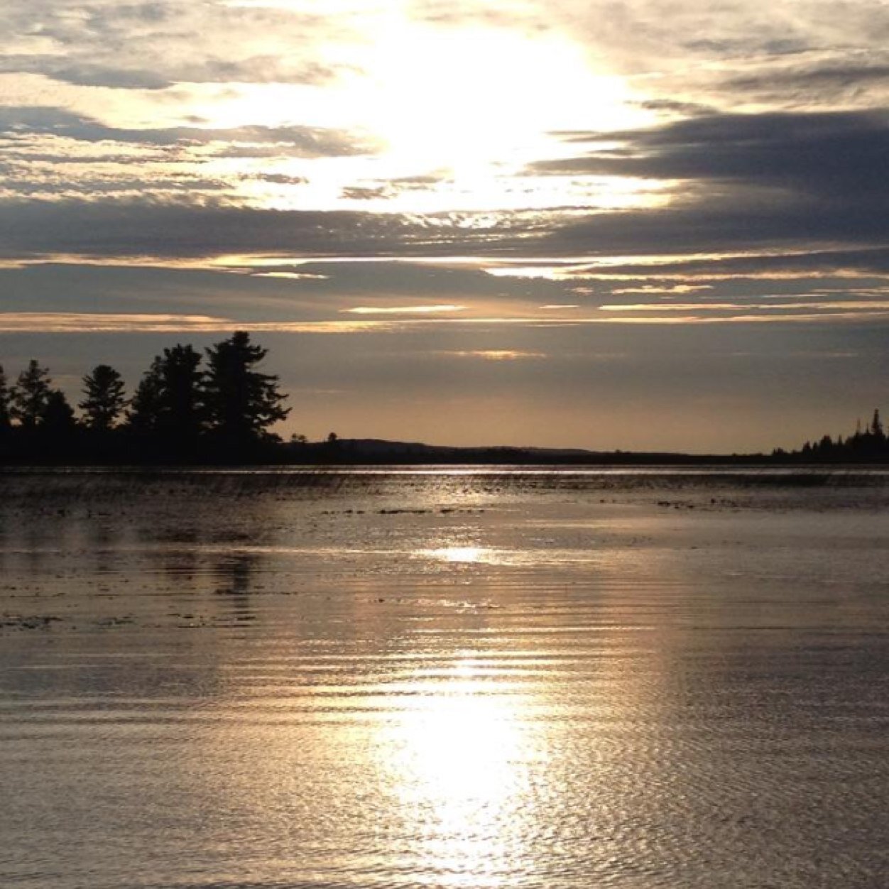 dufek5's profile picture. 