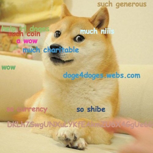 Pls giv #dogecoin for good cause - DT3dn9kBhjFSd6dLM8QLgwVN4VJ4sqmZpv