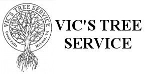 JL Tree Service provides tree service in Northern VA MD DC since 1978 years! Tree Experts in Tree Care, Tree removal, Stump removal, Emergency Tree Service.