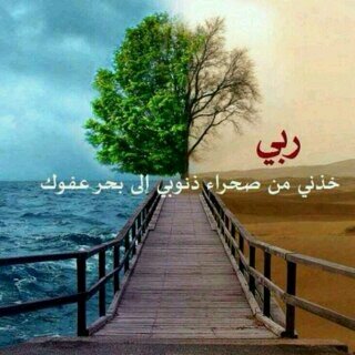 aaos1402's profile picture. 