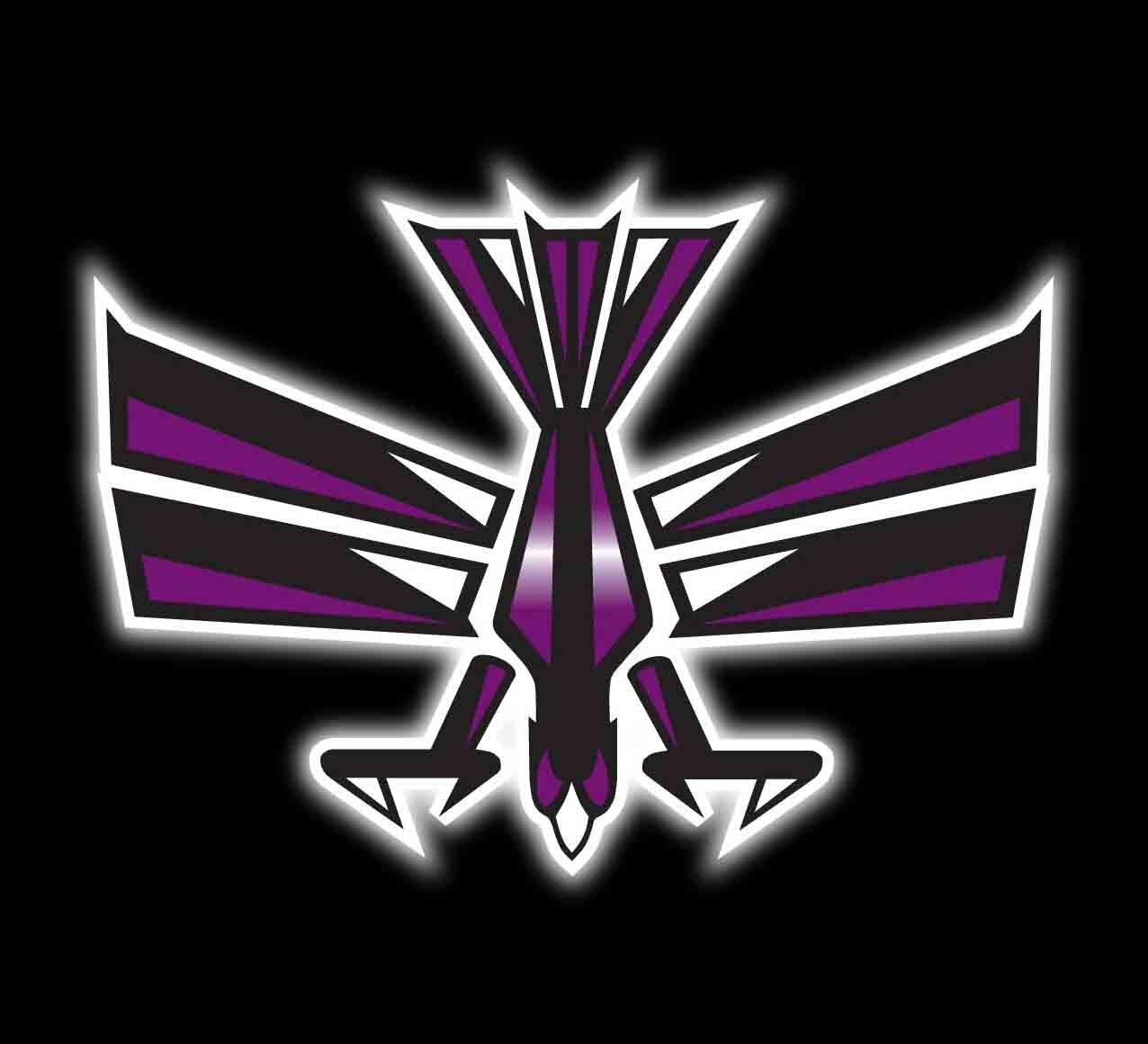 Nighthawk Graphics produces quality screenprinted and embroideried apparel for teams, groups, and businesses!!