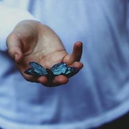 dimkafrozen's profile picture. Люблю путешествия, отдых и общение