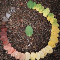 EA (@eadmod) Twitter profile photo