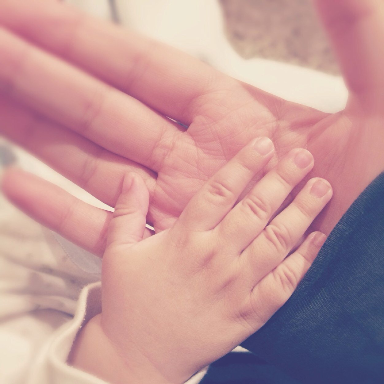 hajer21_'s profile picture. 