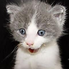 ziggyjamz's profile picture. “The opportunity of a lifetime needs to be seized during the lifetime of the opportunity."    L. Ravenhill
$ETN  and $LUNC 🚀🚀🚀