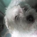 Janet Bello Montero - @Janet_Bello_M - Twitter