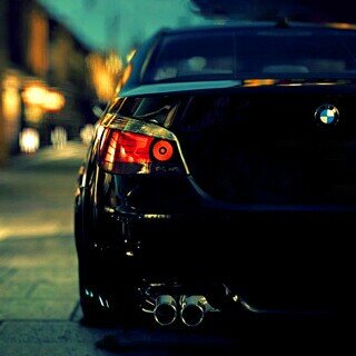 lamliki_sadie's profile picture. 