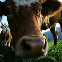 Berta Serrano - @bertase - Twitter