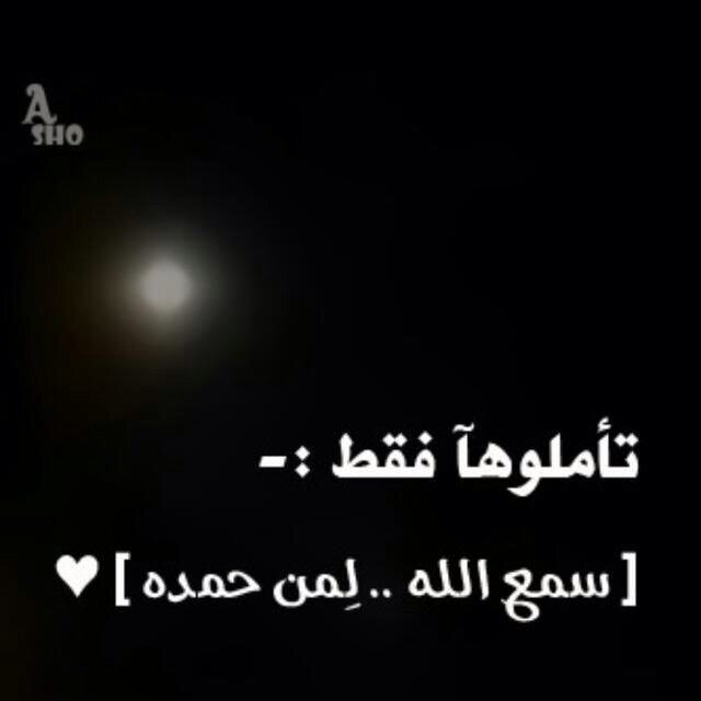 (ربي لاتجعلني فردا وانت خير الوارثين ) bisha-MOH