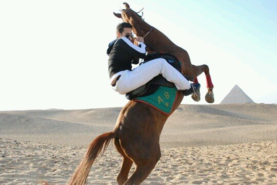 saedsaed175's profile picture. لا اله الا الله محمد رسول الله