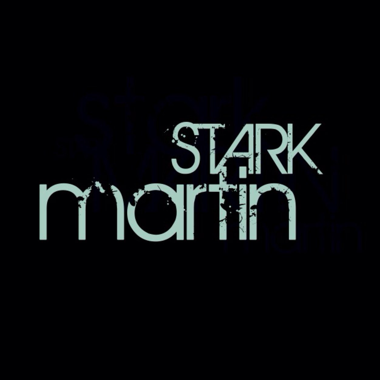 TheStarkMartin's profile picture. 