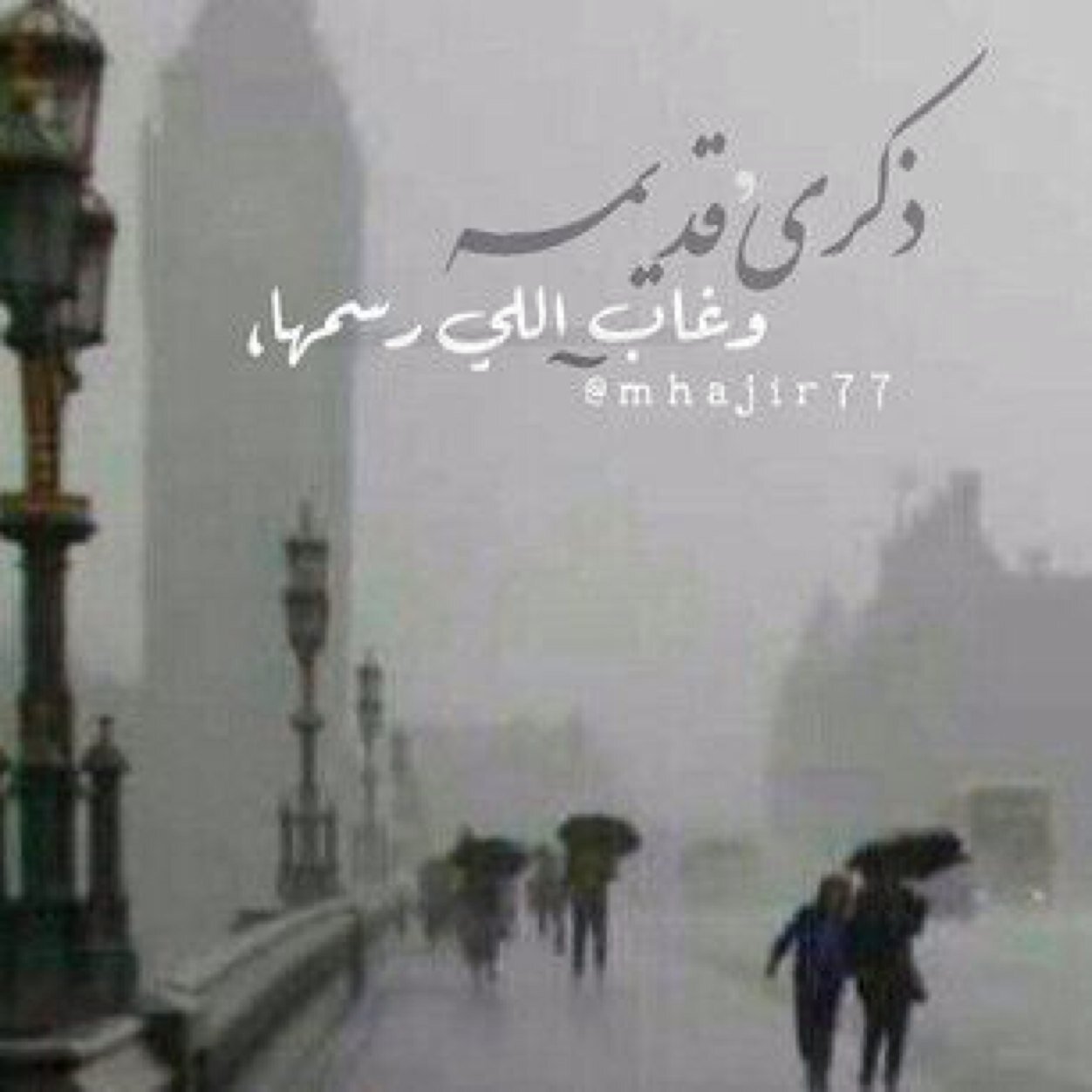 shosho140914's profile picture. 