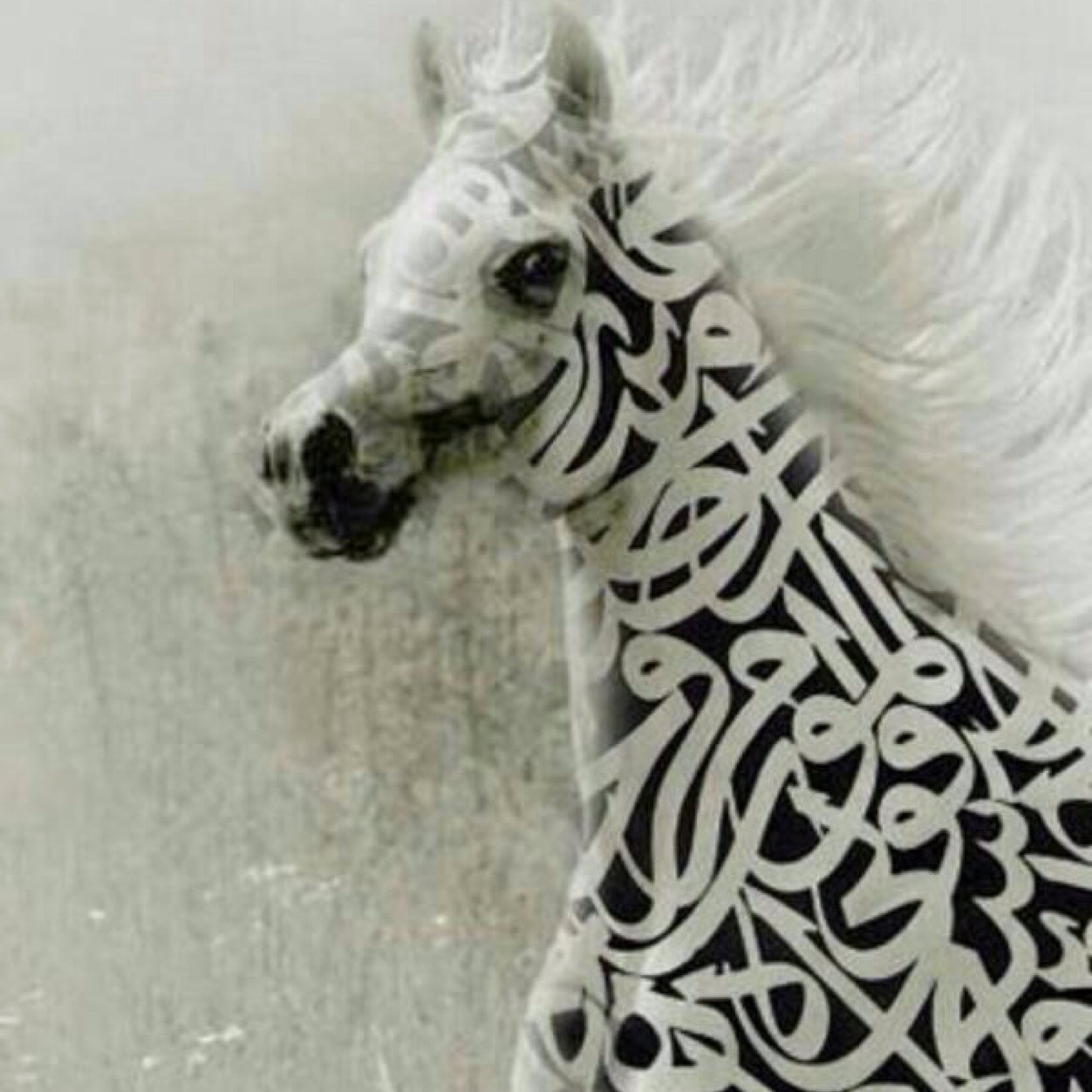 Rami1299's profile picture. 