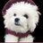 louiedecoton's profile image