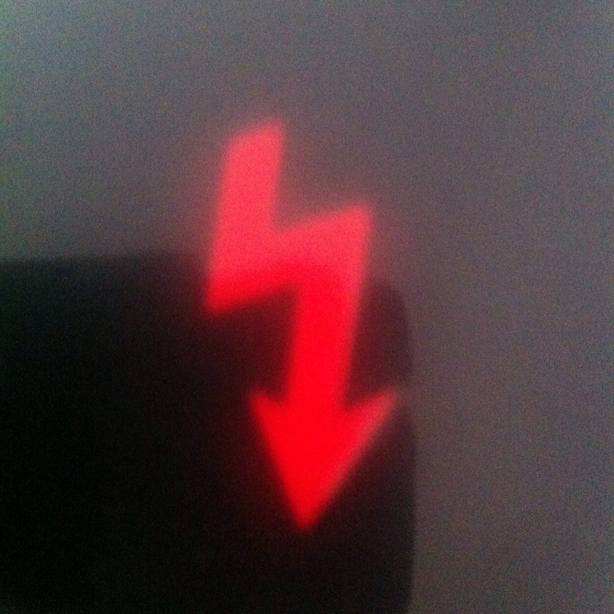 franciscorara's profile picture. 