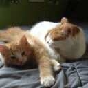 Michelle Moreau Doiron - @moreaudoiron - Twitter