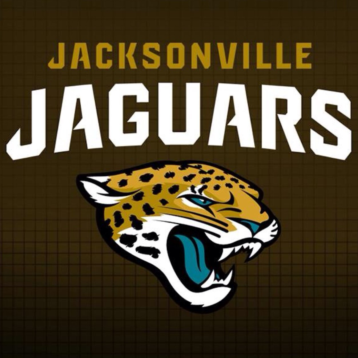 comments from the Jaguars facebook page