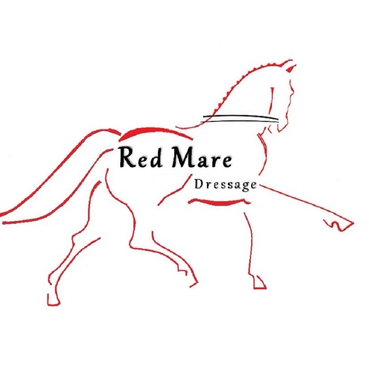 redmaredressage's profile picture. 