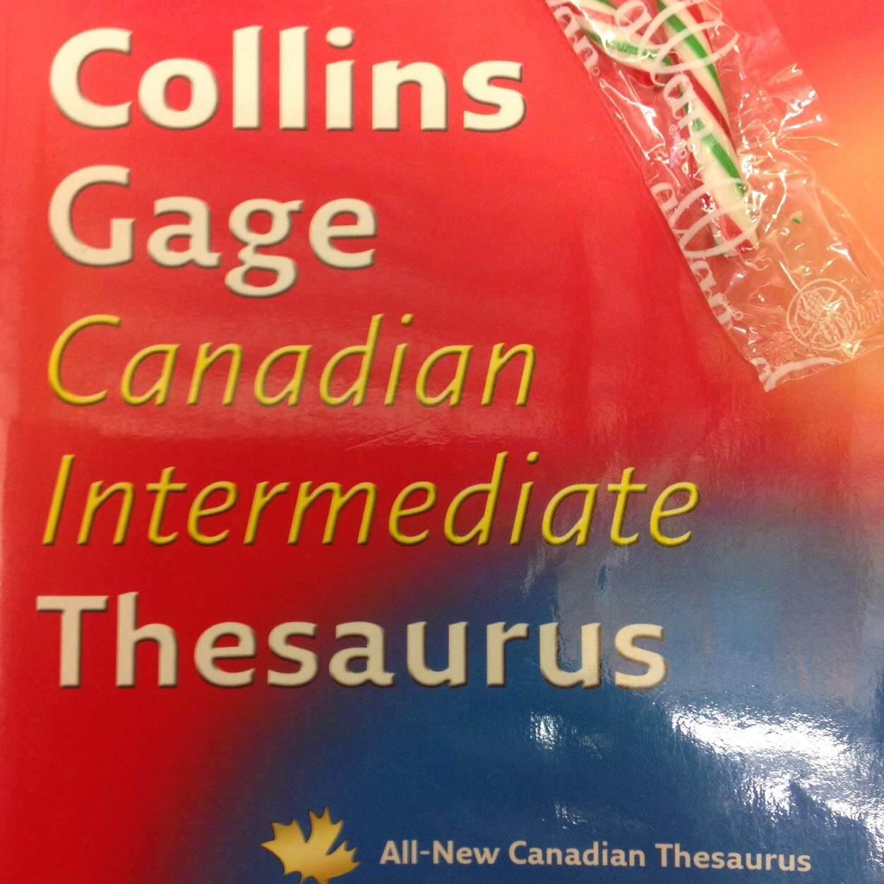 We are a group of grade 6 ELL students looking to connect with other students and extend our language skills!