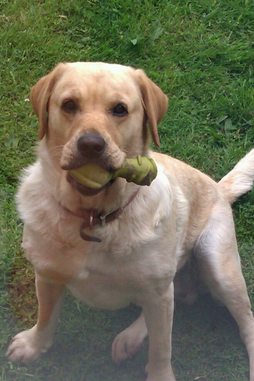 BradTokyo's profile picture. 