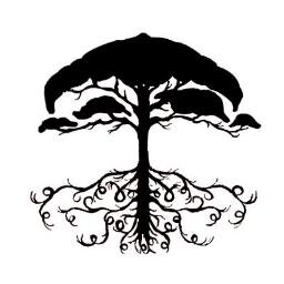 Growing brands above and beyond. Creative Strategy / Brand Positioning / Social Media and Content Management