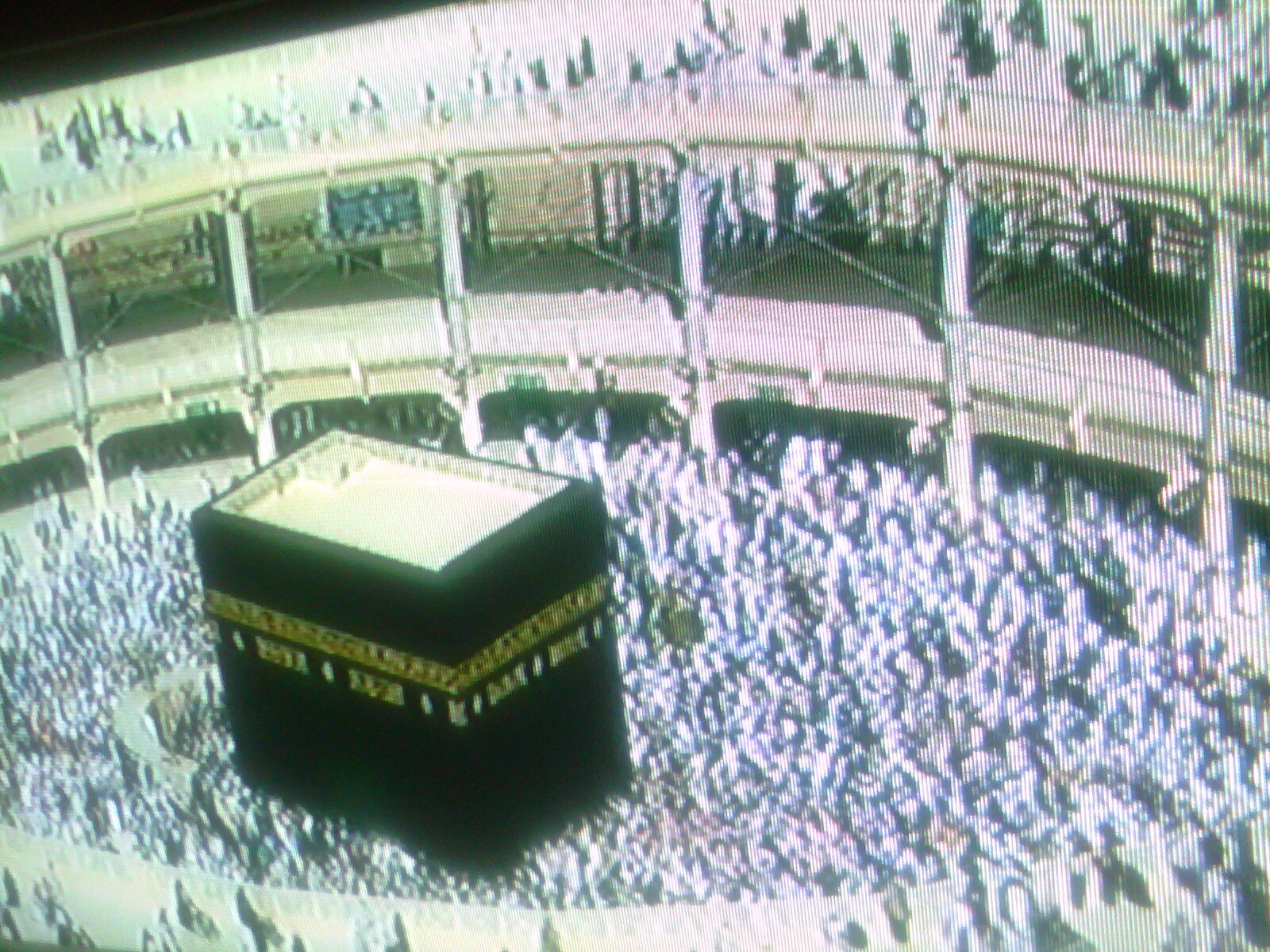 عاشق الرسول و صحابته المتبع للسنة و الجماعة