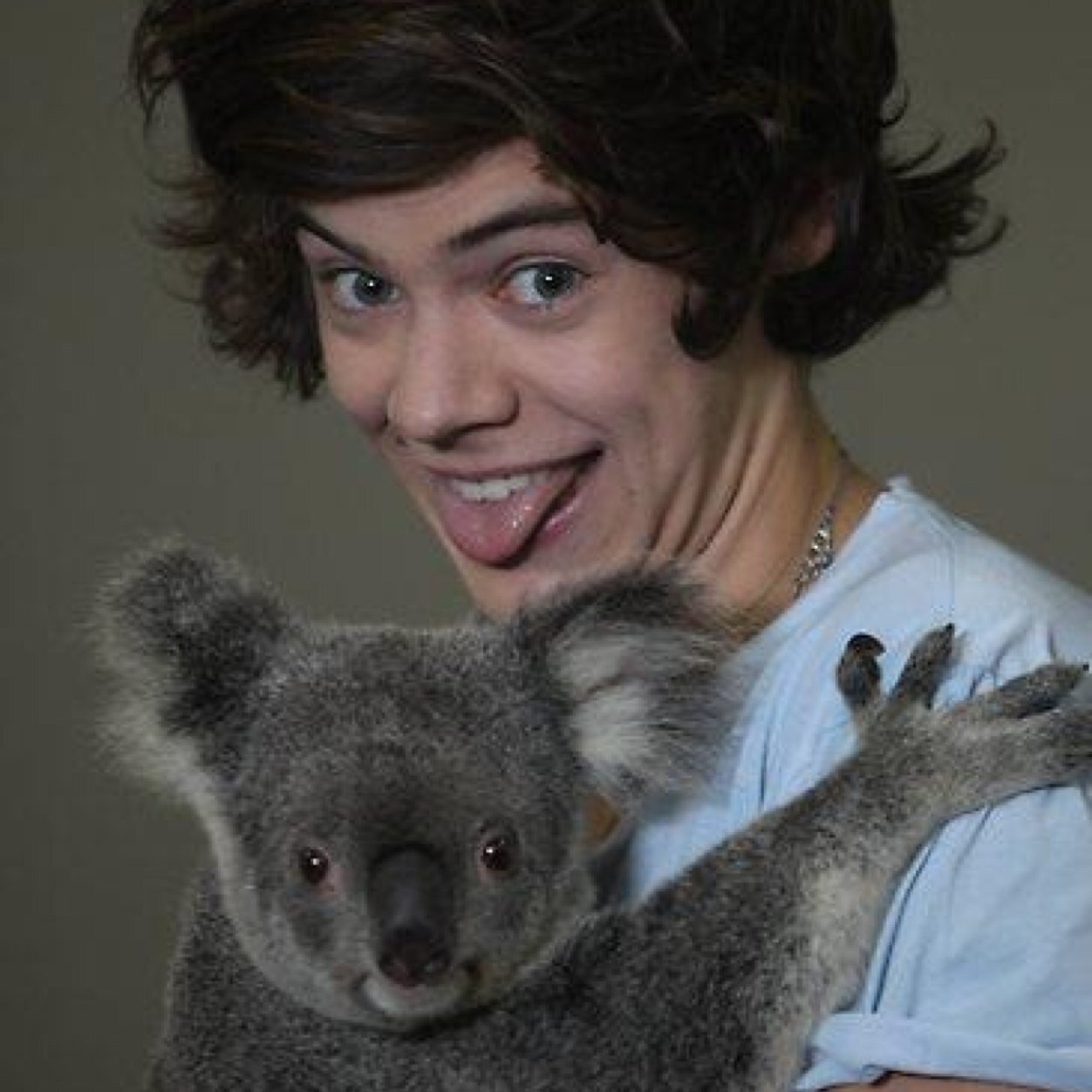 Directioner 100% Hoping for a follow from any of the boys! I will always follow back!