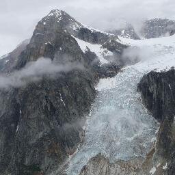 sliprose's profile picture. 