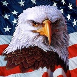BeAmerican7's profile picture. Thanks for Following.  I tweet interesting things on being American and partriotism.
