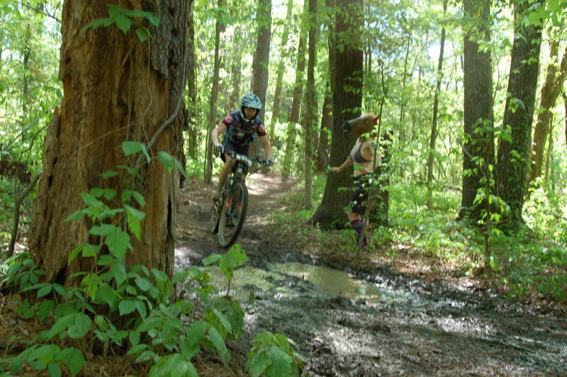 I love long walks on the beach, fatbikes,  SRAM Taperbore, and rigid bike with 3x10 drivetrains.