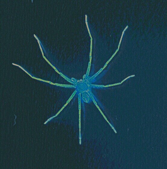 melkosanabria's profile picture. 