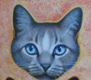 Grey and white she-cat. Daddy:@Water_of_WC Momma:@waters_34