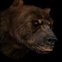 Замечаю, что стал часто материться. Но мне похуй.