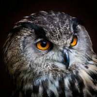 ファイツ (@manakank) 's Twitter Profile