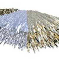 CloudCoinMiner (@cloudcoinminer) Twitter profile photo