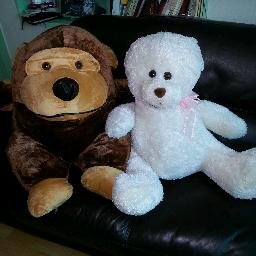 airfors11's profile picture. 