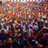 cirilo_gonzales's profile image