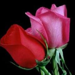 ahmad114mc's profile picture. 