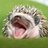 austinsmorris's profile image