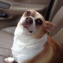 Edward Morando - @edward_morando - Twitter