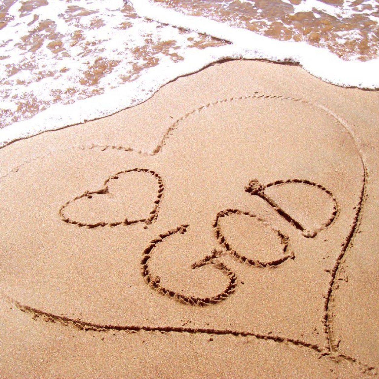 daniellaallyday's profile picture. 