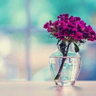 ElMooz85's profile picture. ‏ازرع داخل الجميع شيئاً يخصك إن لم يكن حباً فليكن إحتراماً..♥