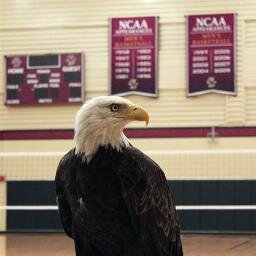 slippery85's profile picture. BC alum '08, '09 and MBA class of '16. Somerville Local First! New England sports nut. Crazy Saaber. Beach bum. All things Eagles. Tweets are my own.