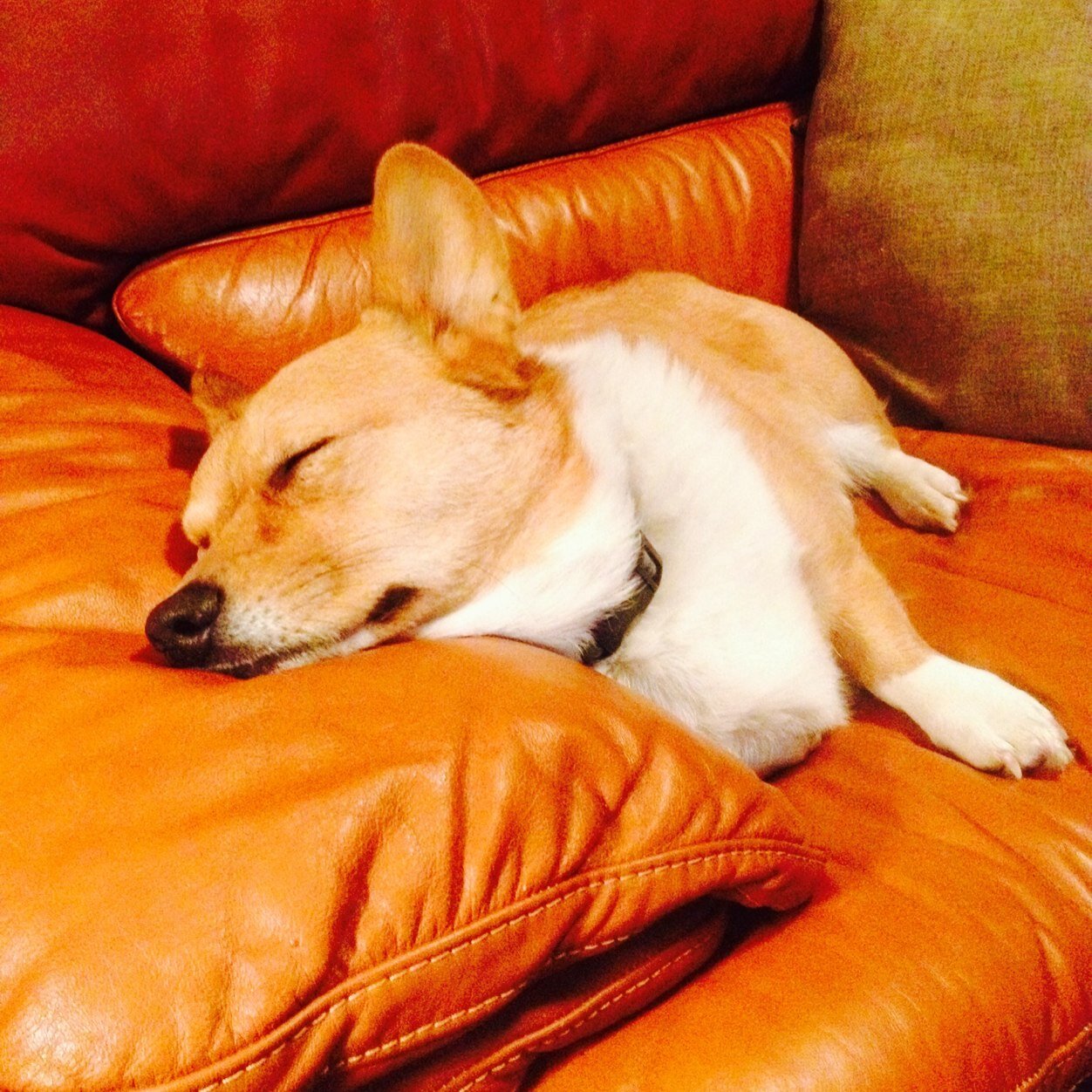 JPW1964's profile picture. 