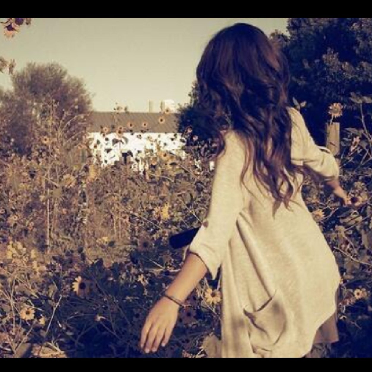 aRadicalLove's profile picture. In a desirable search for Him.