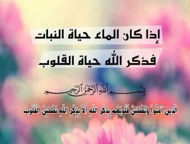 ‏‏هذا الحساب خاص للدعوة الى الاسلام . حيث تم الاشتراك في اكثر من تطبيق يتم من خلالة نشر معلومات مفيدة باللغة العربية كذلك باللغة الانجليزية. نسأل الله القبول